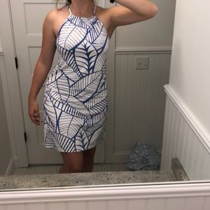 J McLaughlin summer dress